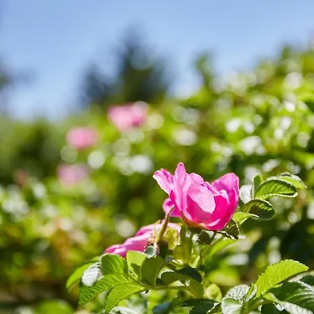 La Rapinette, Calme Entre Nantes Et L'ocean بيت ضيافة Cheix-en-Retz